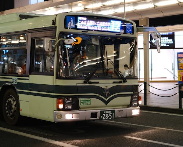 Découvrez les navettes pour porquerolles au départ de la tour fondue